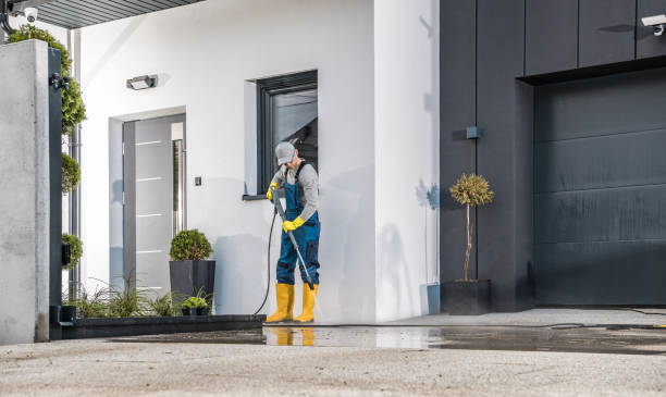 Best Roof Washing  in Bargaintown, NJ